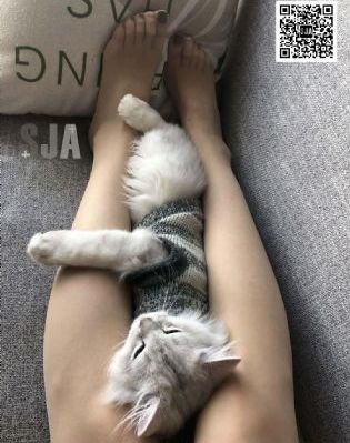 巴黎恋人
