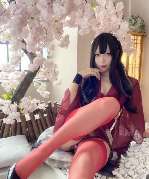 赘婿免费观看
